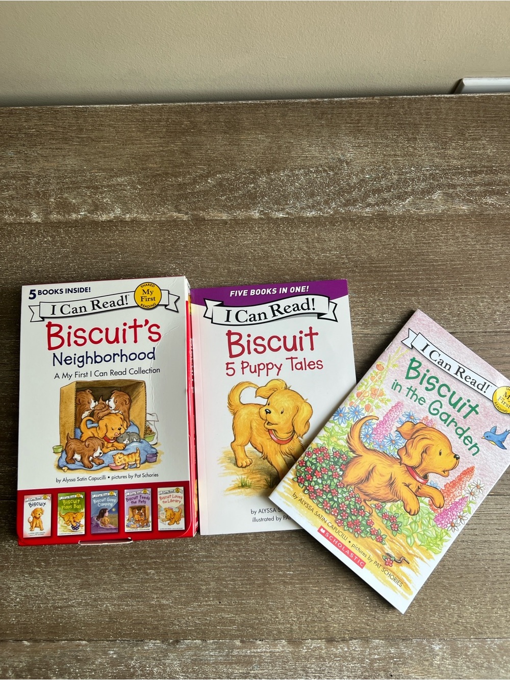 EUC Bundle of “I Can Read” Biscuit Books - 11 stories in total